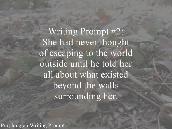 Writing Prompt 2