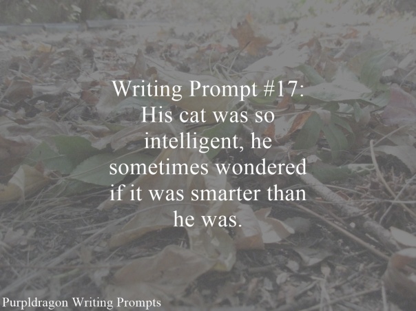 Writing Prompt 17