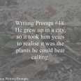 Writing Prompt 48