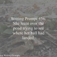 Writing Prompt 56