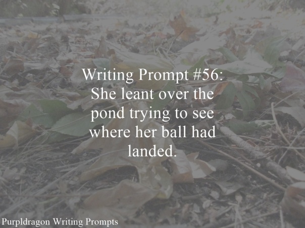 Writing Prompt 56